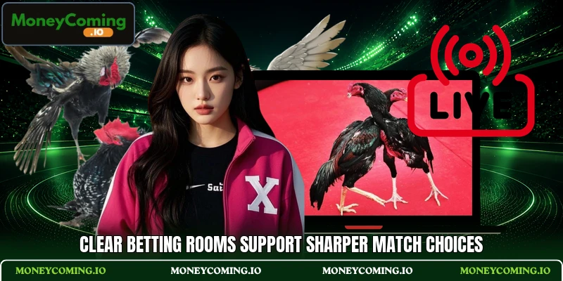 Clear betting rooms support sharper match choices