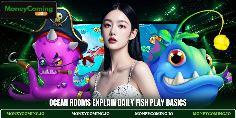 Ocean rooms explain daily Fish play basics