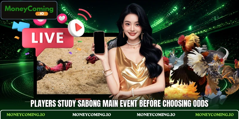 Players study Sabong Main Event before choosing odds